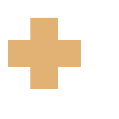 Icon Gesundheitsmanagement in weiß